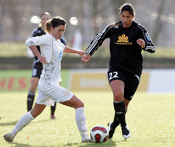 仅提供了丰 仅提供了丰